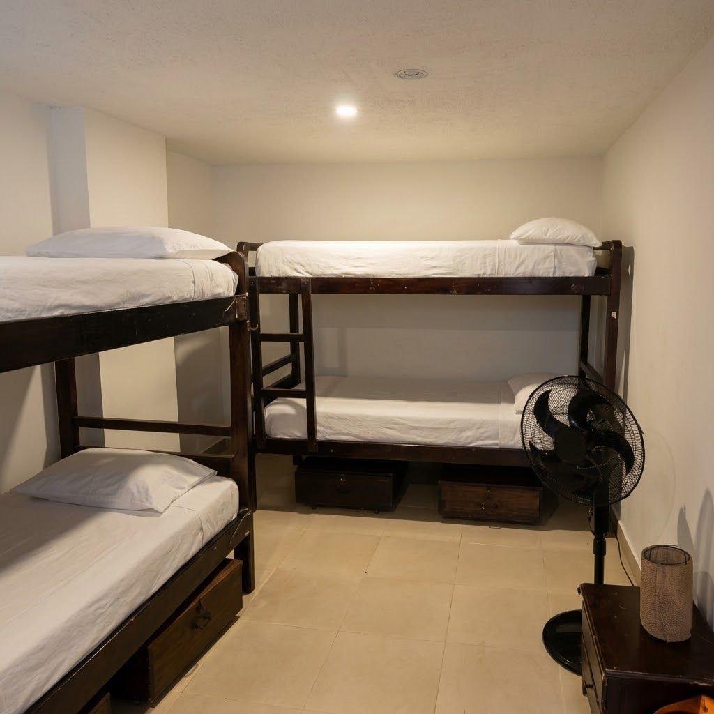 Habitación Casa Kiwi Hostel