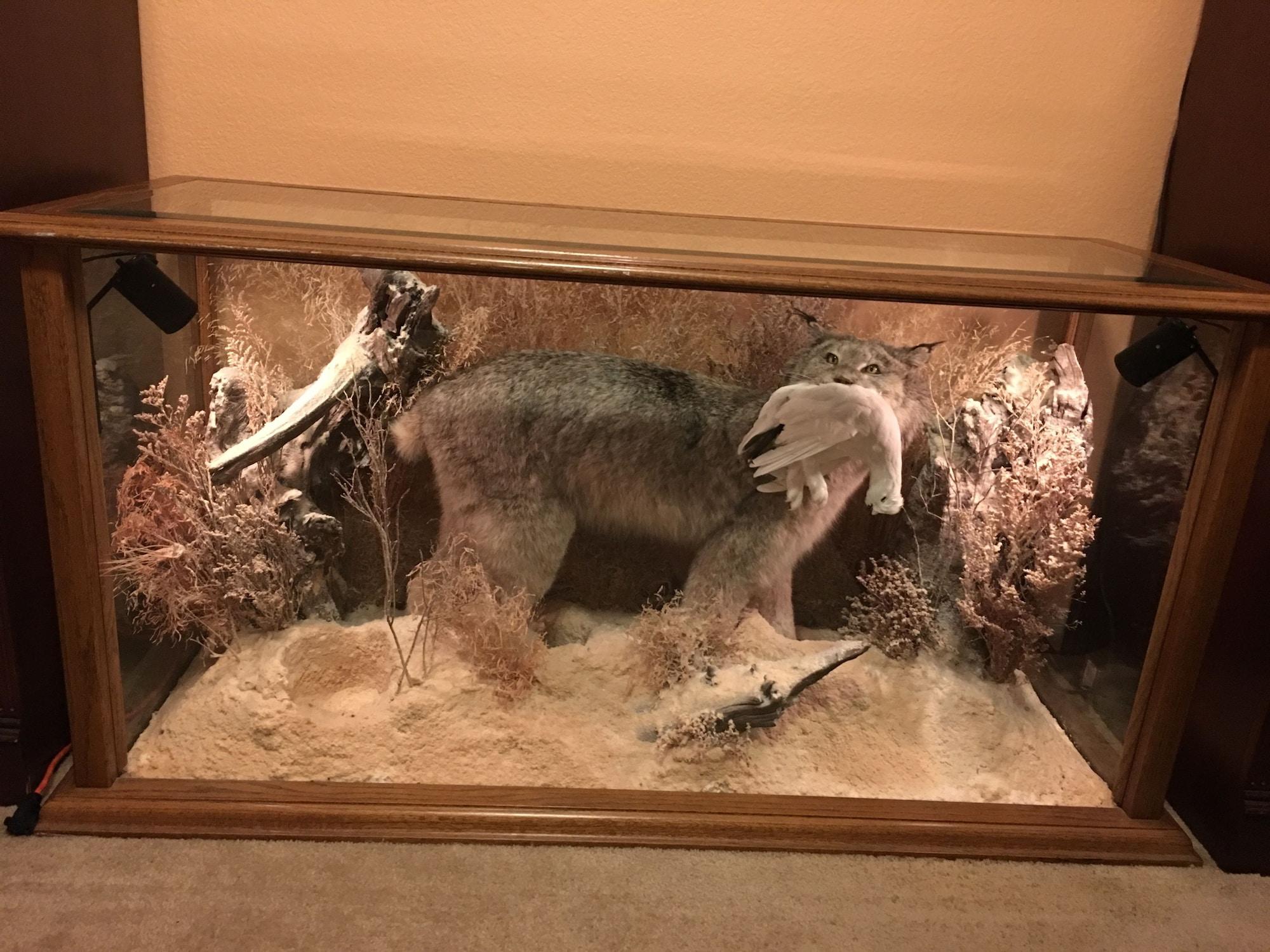 Comodidades del Alojamiento Country Comfort