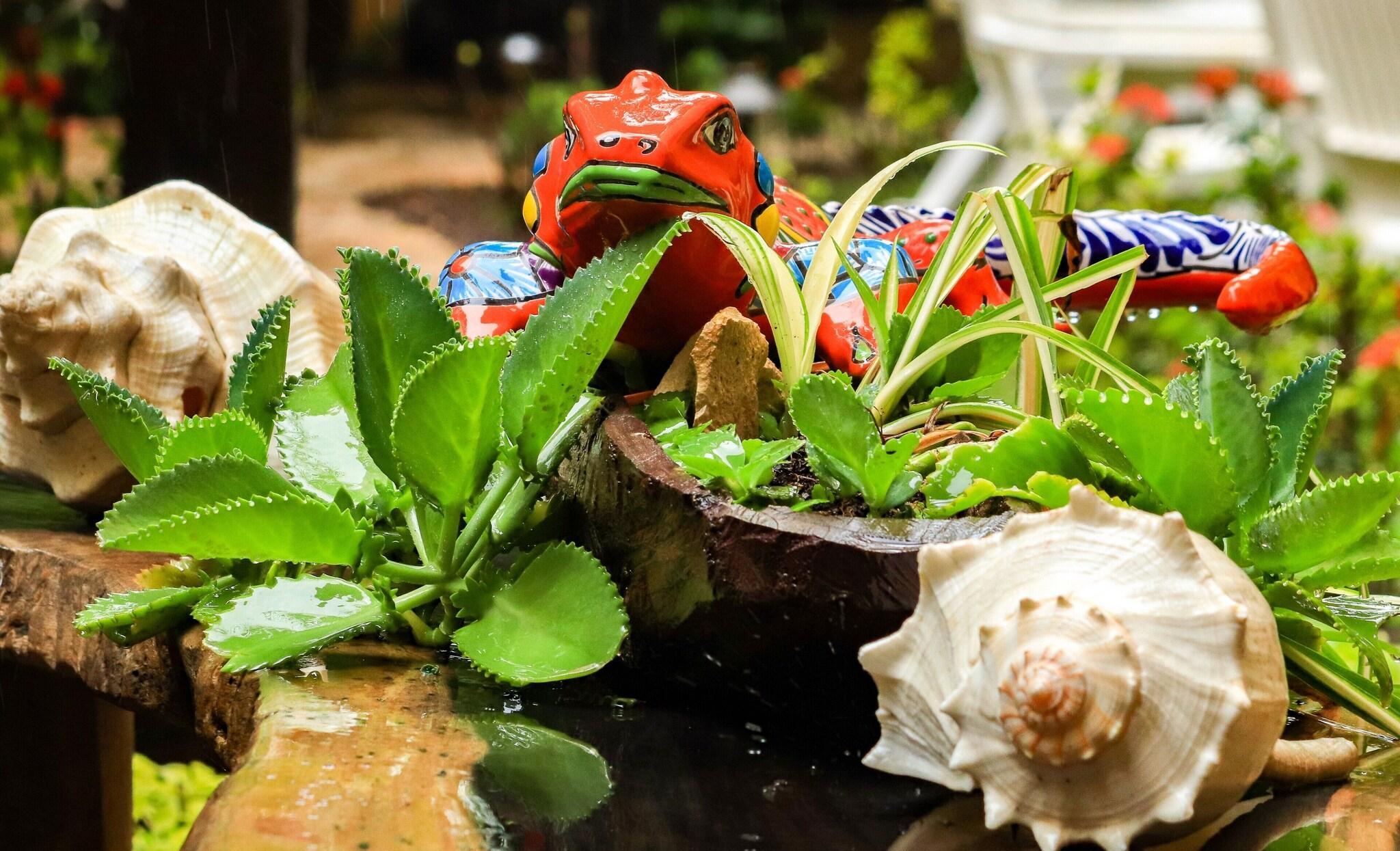 Varios Playalingua del Caribe