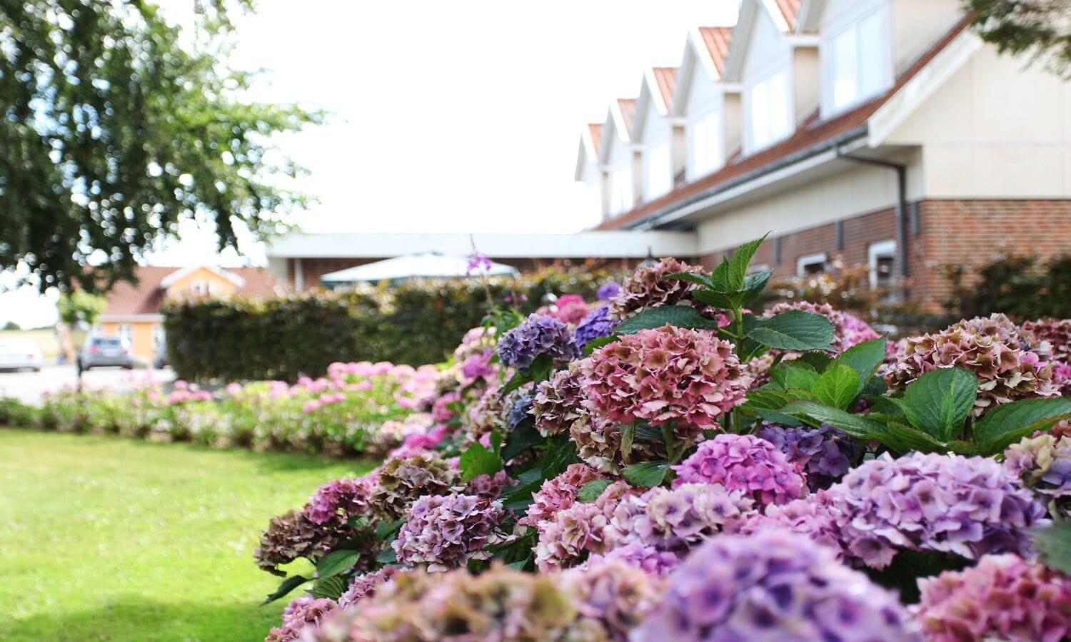 Vista Exterior Fangel Kro & Hotel