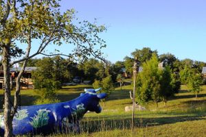 Alojamiento - Barons CreekSide