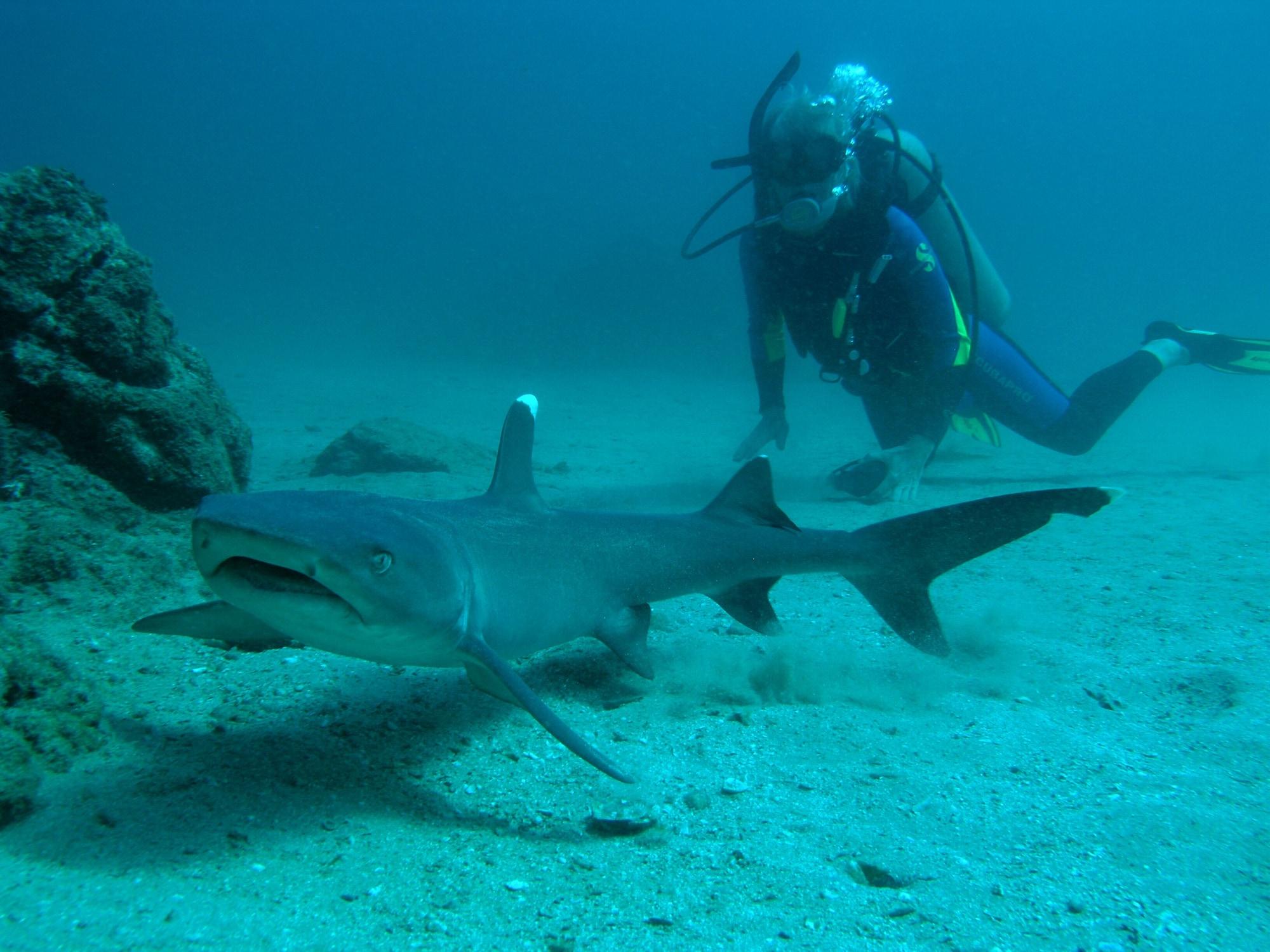 Instalaciones Recreativas Hotel Jinetes de Osa