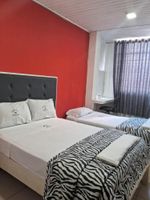Alojamiento - HOTEL SELVA