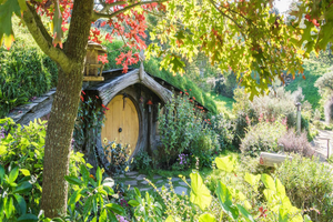 Actividad - Explore el set de rodaje de Hobbiton con almuerzo - Excursión de día completo