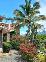 Alojamiento - HOTEL KALMA