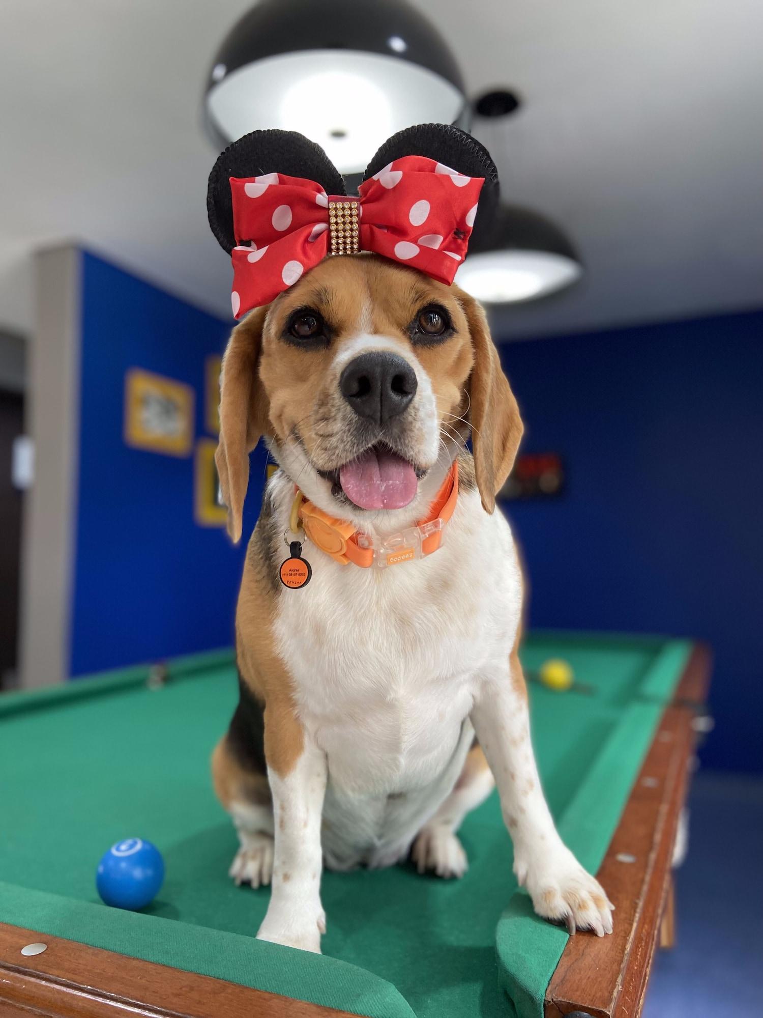 Vista Lobby Novotel Sao Jose dos Campos