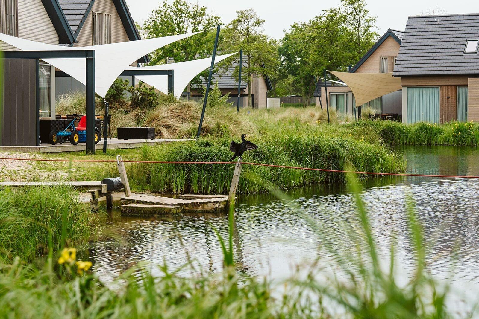 Vista Exterior Ridderstee Ouddorp Duin