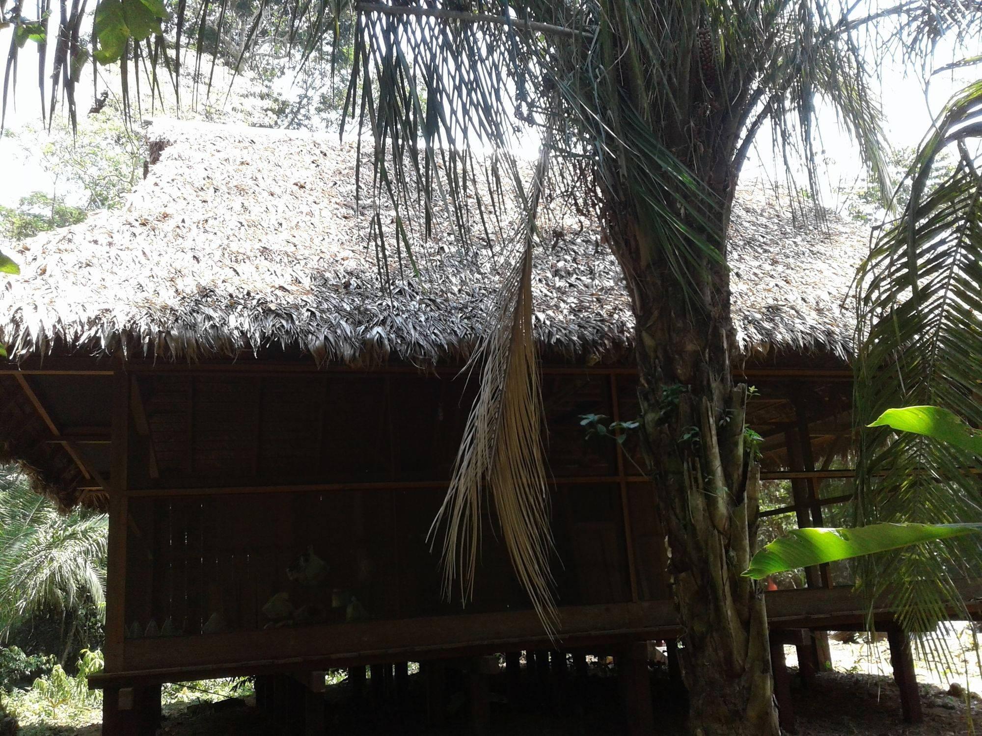 Vista Exterior Ecolucerna Lodge