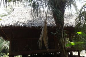 Alojamiento - Ecolucerna Lodge