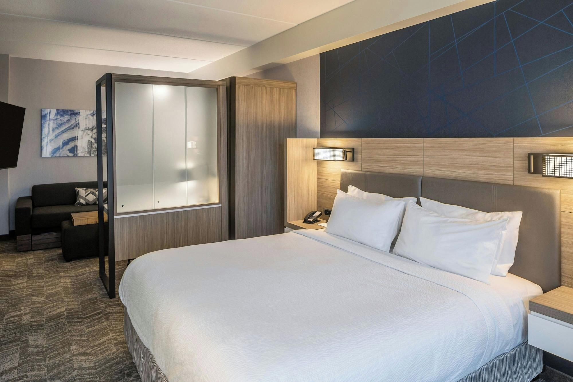 Habitación Springhill Suites BY Marriott Canfield