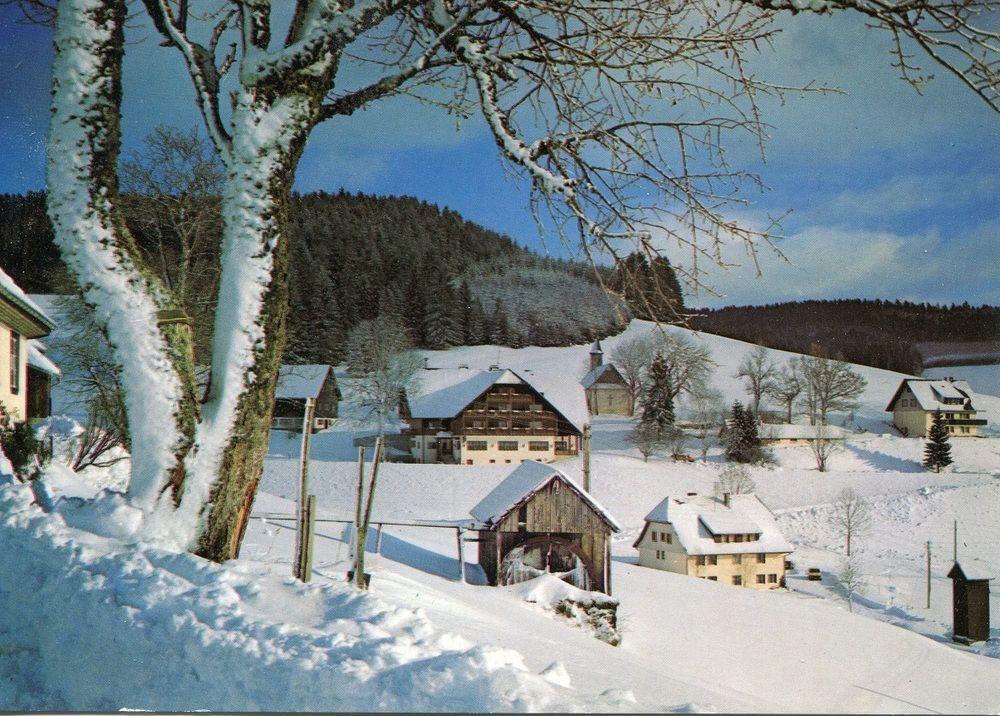 Varios Tannzapfenland