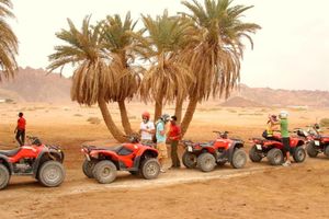 Actividad - Safari en quad