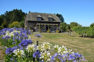 Alquiler Vacacional - Vineyard Hideaway, peace and tranquility
