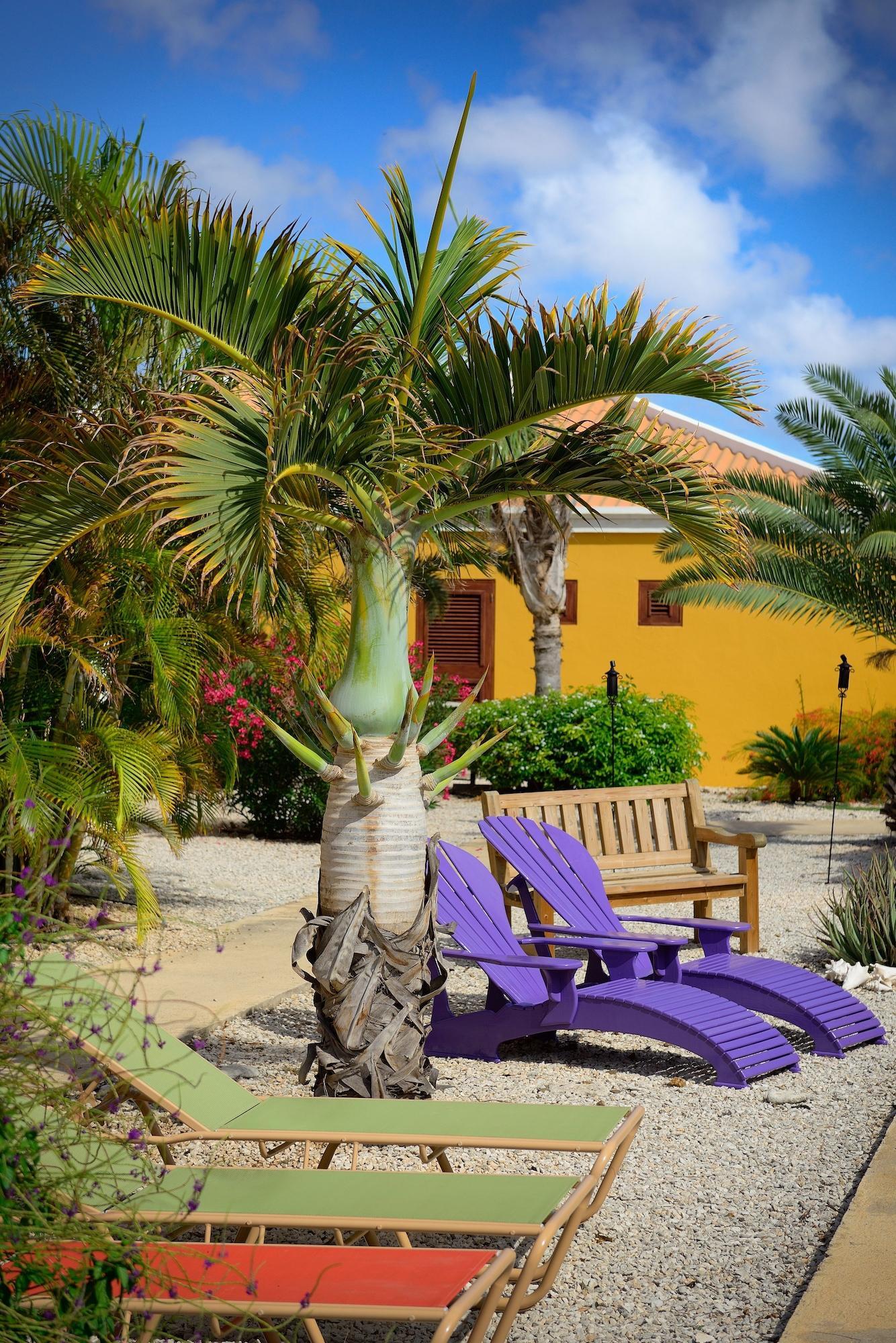 Vista Exterior Djambo Apartments - Adults Only