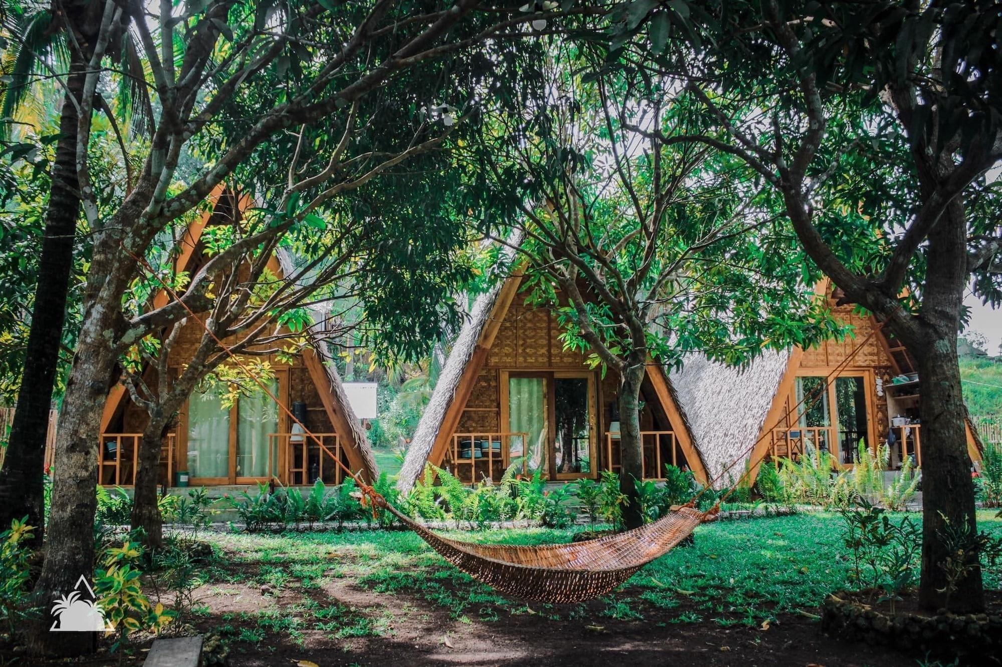 Varios Triangle Palms Siargao
