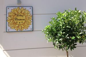 Alojamiento - Hotel Centrum