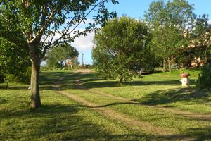 Alquiler Vacacional - Cabañas Monte Chañares