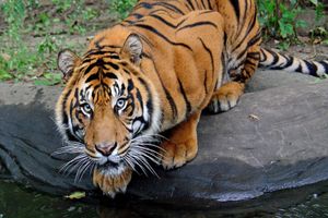 Actividad - Toronto CityPASS®