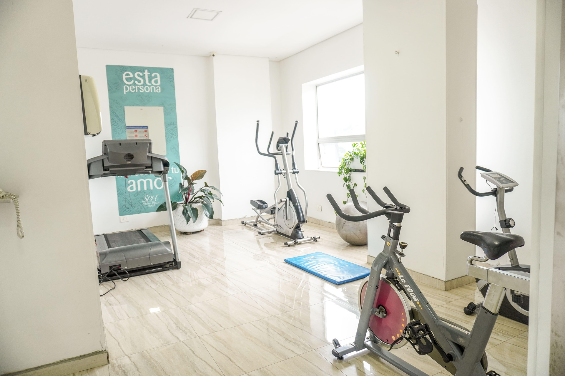Gimnasio Hotel Sixtina Plaza Medellin