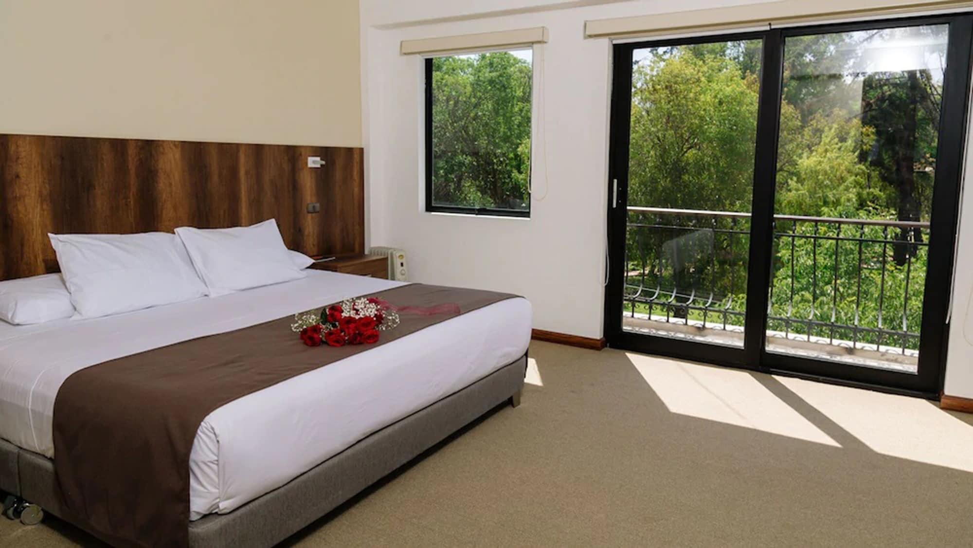 Habitación Hotel Villa del Carmen