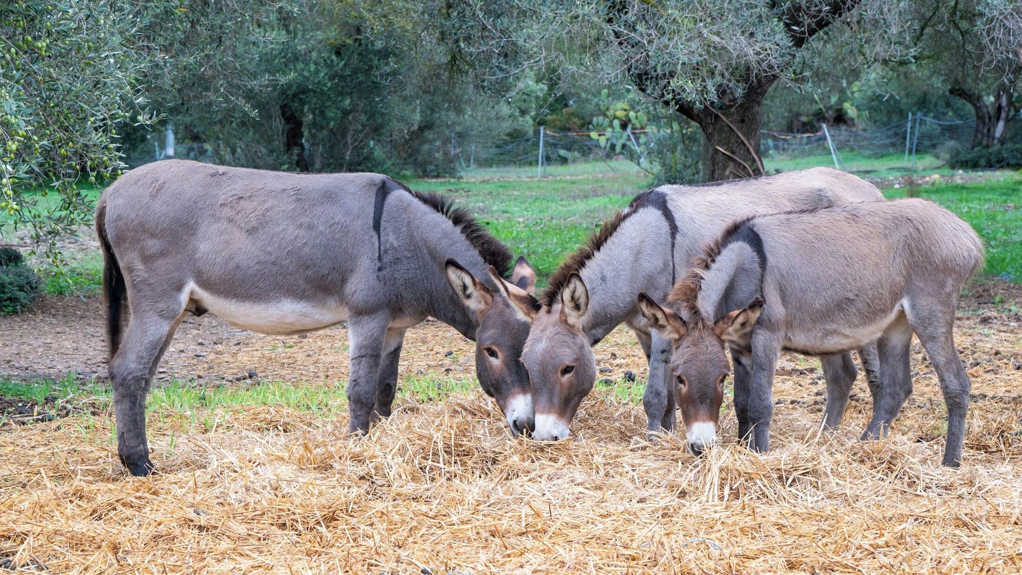 Instalaciones Recreativas Su Leunaxiu