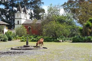 Alojamiento - Hacienda Guachala