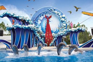 Actividad - SEAWORLD SAN DIEGO