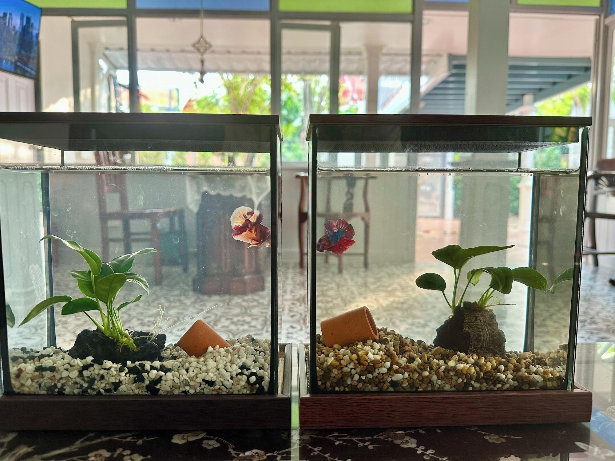 Vista Lobby Baan Debtida
