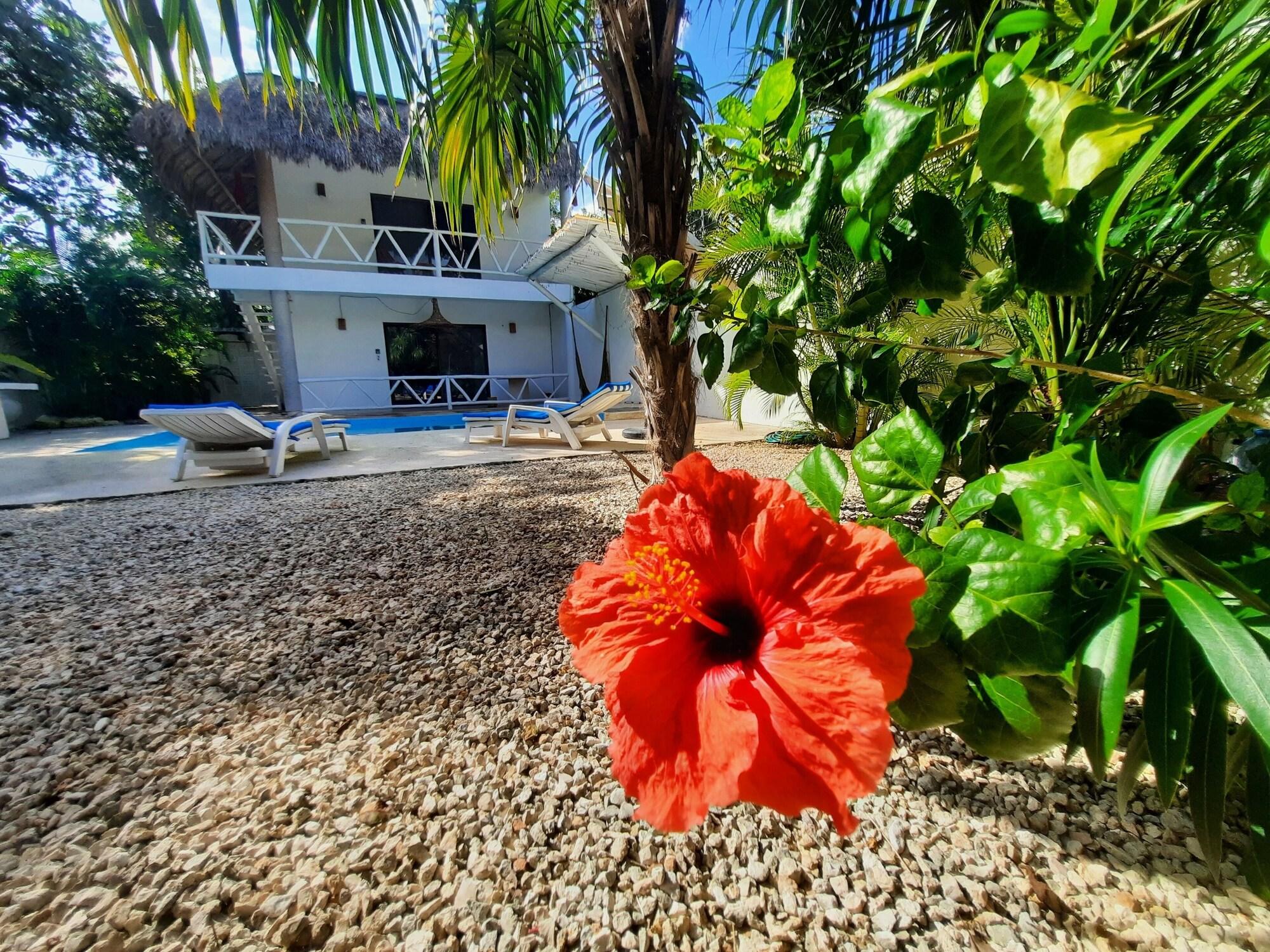 Varios Casa del Mar Tulum