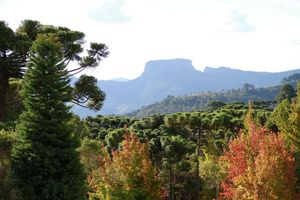 Alojamiento - Hotel Vila Inglesa