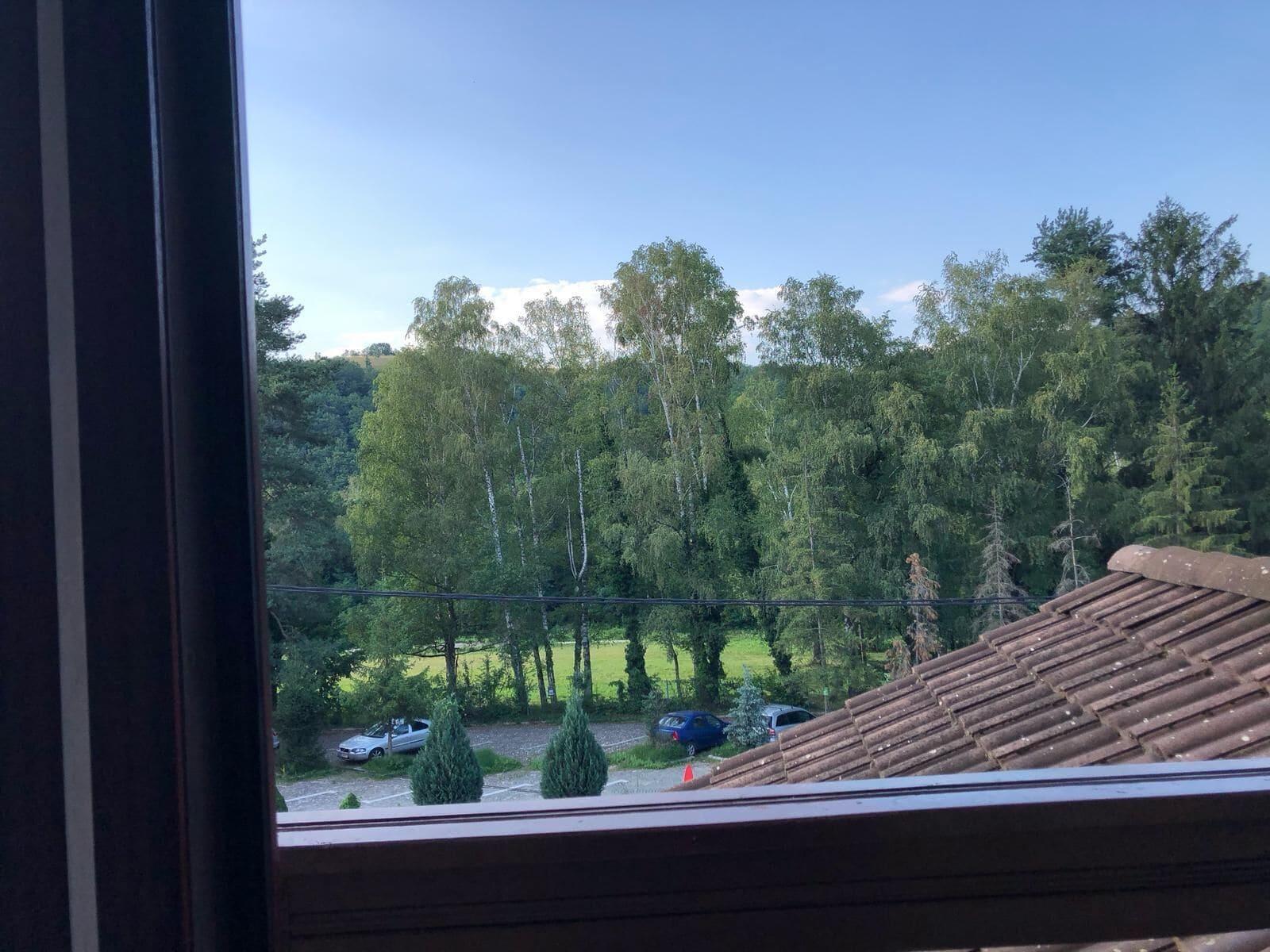 Equipamiento de Habitación Pensiunea Brândușa