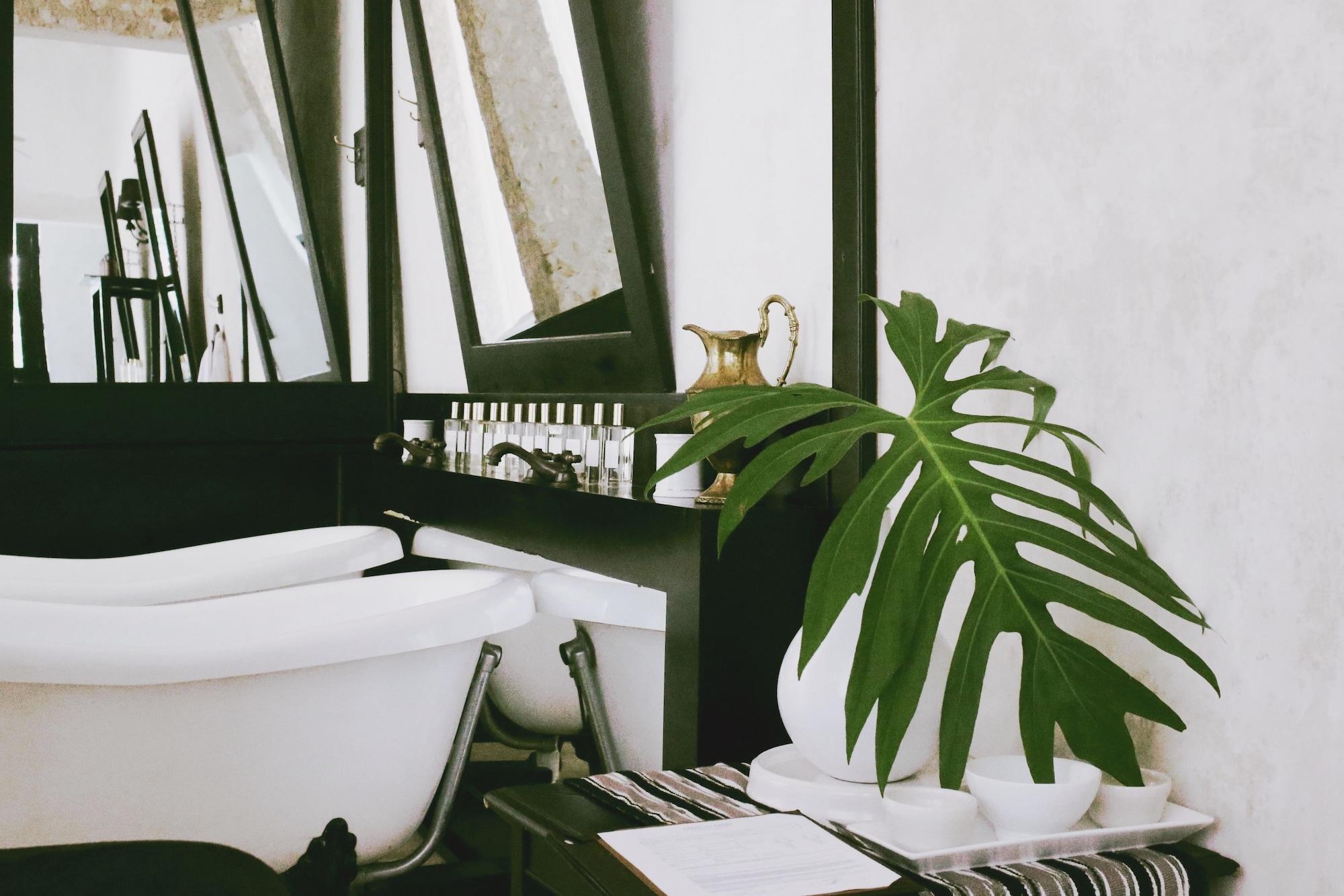 Spa Coqui Coqui La Perfumeria - Valladolid - THE ONLY ONE SUITE COLLECTION