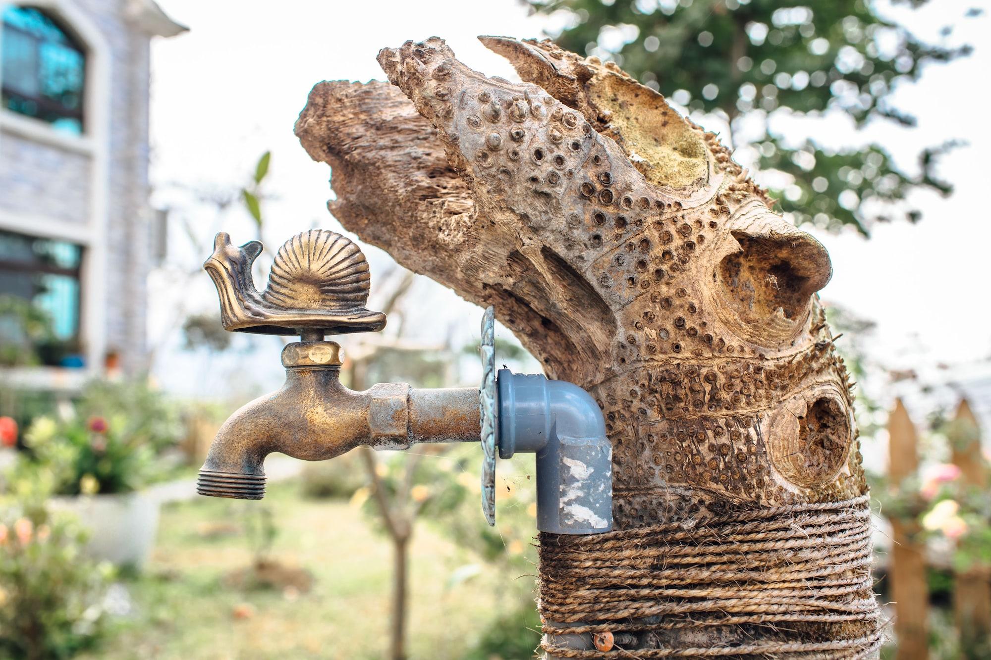 Vista Exterior SNAIL B&B