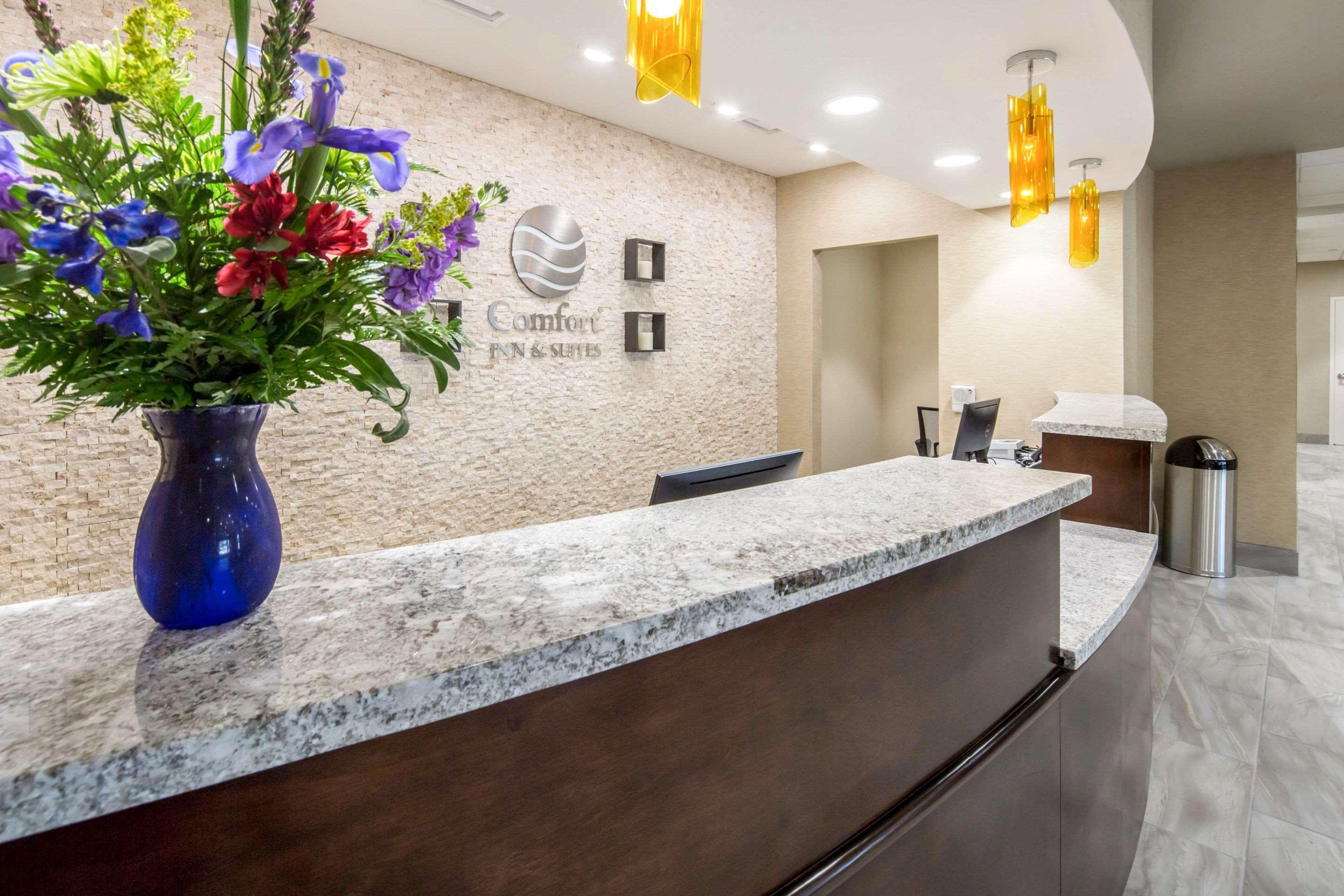 Vista Lobby Comfort Inn & Suites