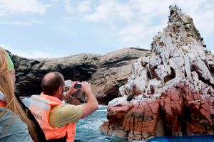 Actividad - PIK - FD Paracas desde Lima con Cruz del Sur