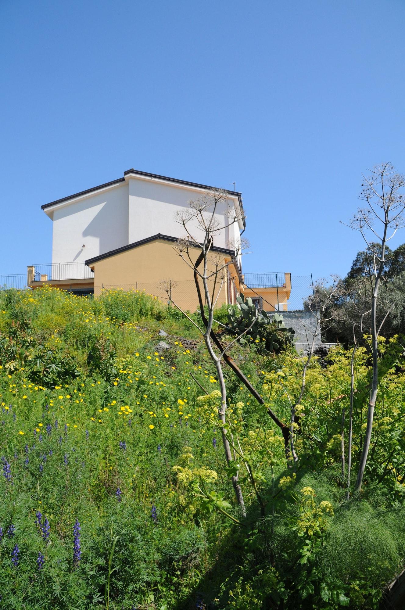 Vista Exterior La Circumetnea B&B