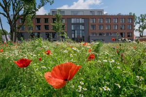 Alojamiento - FREIgeist Einbeck - A Member of Design Hotels