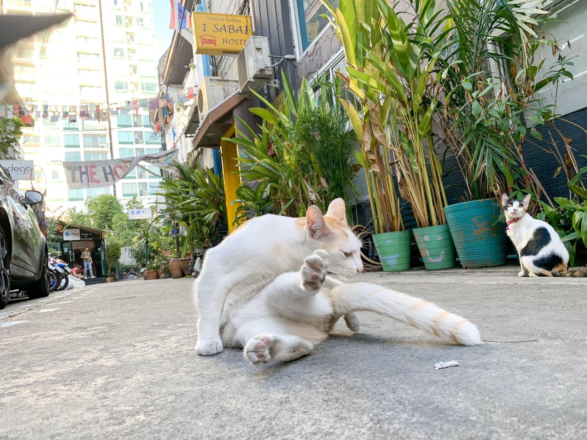 Vista Exterior 1Sabai Hostel