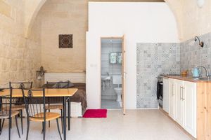 Alquiler Vacacional - 300yr old farm converted into welcoming Tiny Home