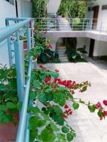 Alojamiento - HIDALGO HOTEL