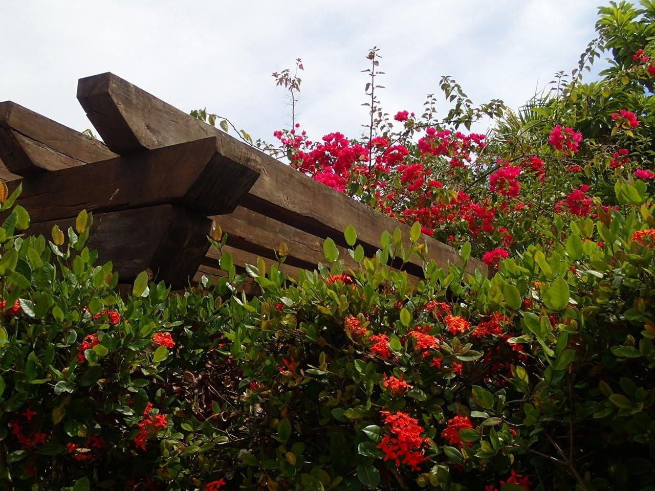 Vista Lobby Margarita del Sol Costa Maya