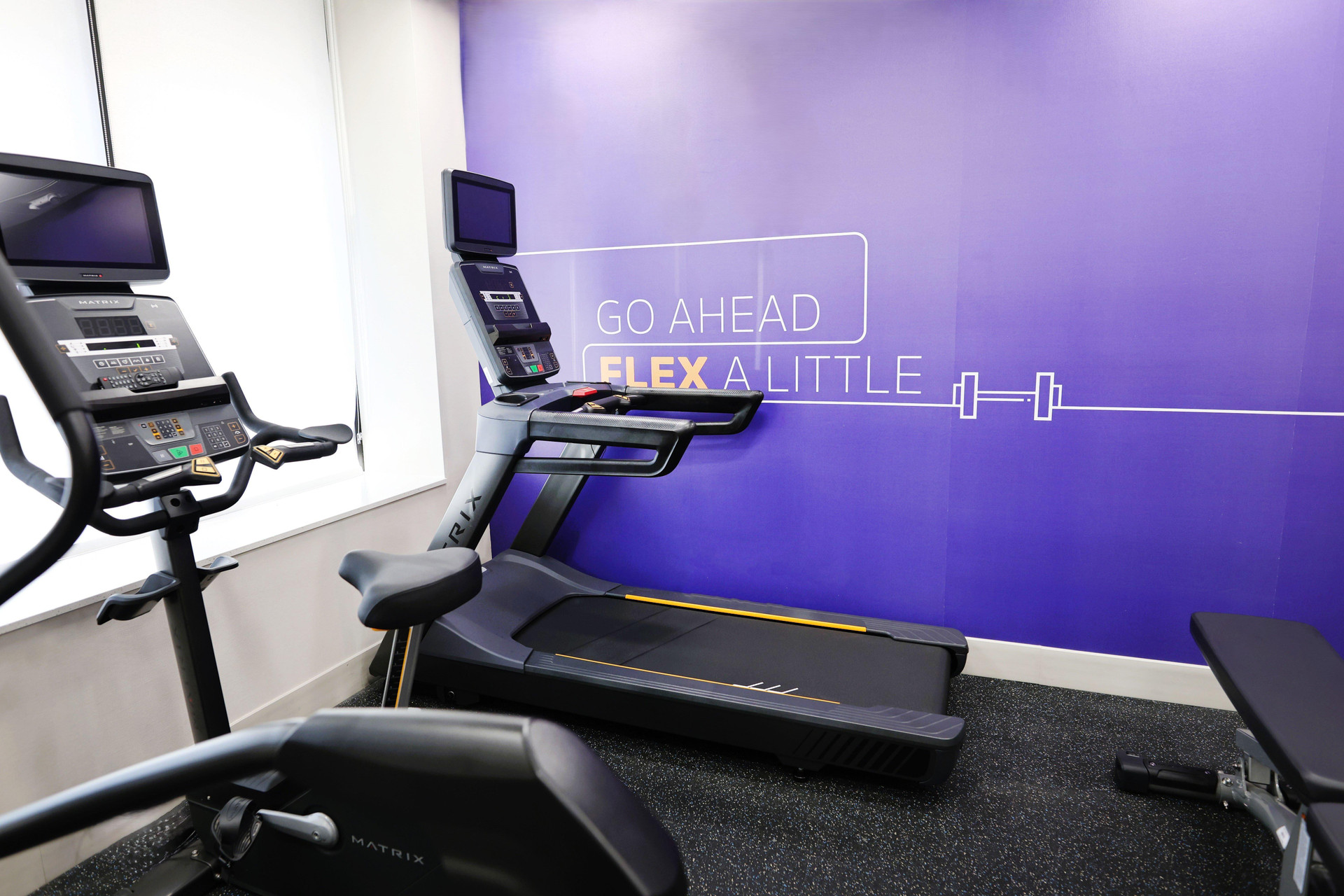 Gimnasio Holiday Inn Express Detroit-Birmingham by IHG