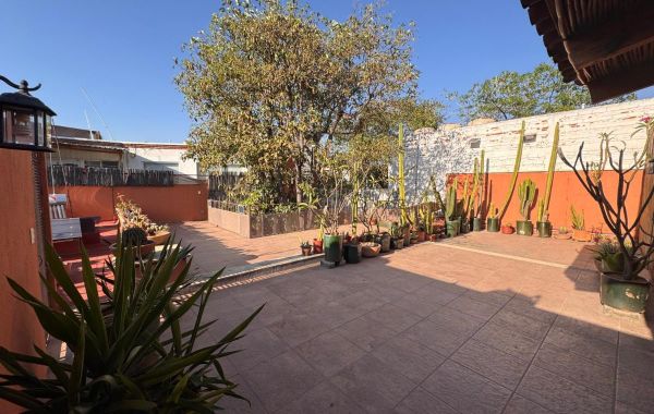 La Casa del Arbol