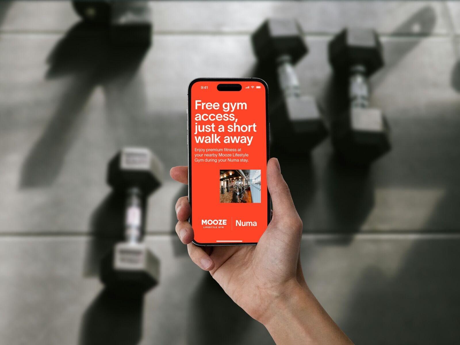 Gimnasio Numa Antwerp Opera