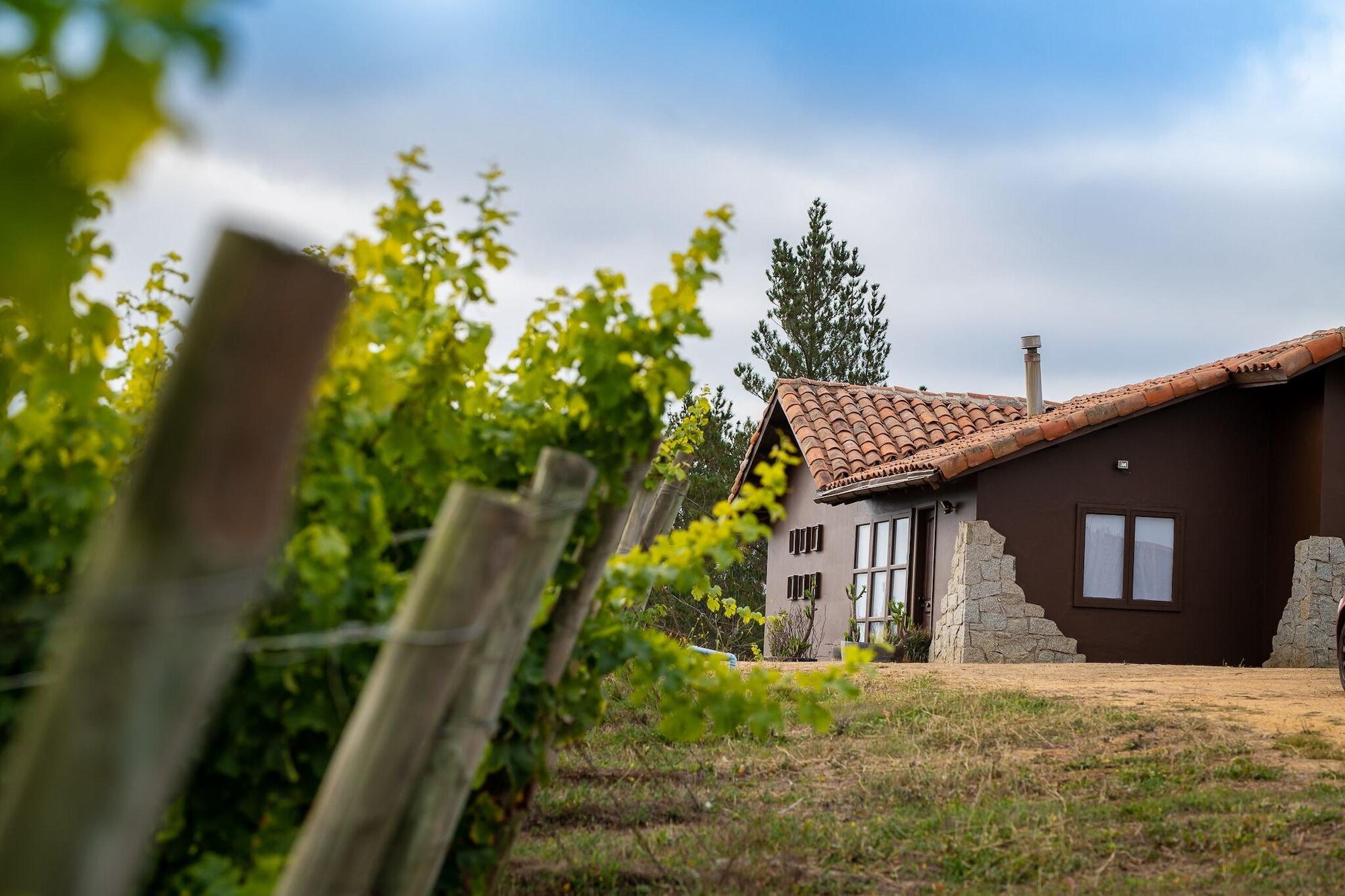 Varios Villa Miramar at Casa Marin Vineyards
