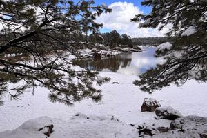 Alojamiento - Hacienda Don Armando