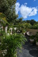 Alojamiento - Casa Agape Hotel Tulum with Beach Club Access