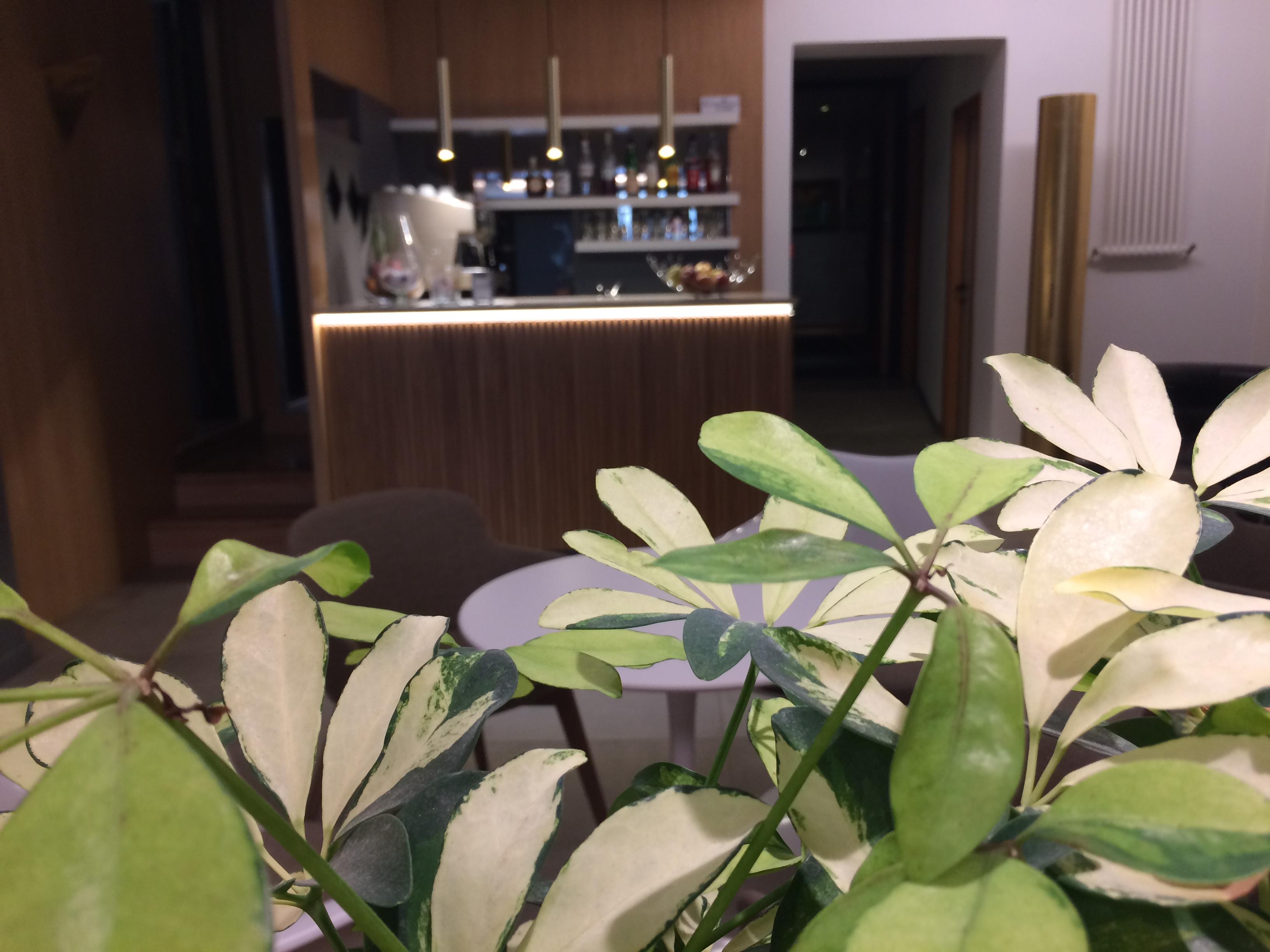Bar/Salón Cristina