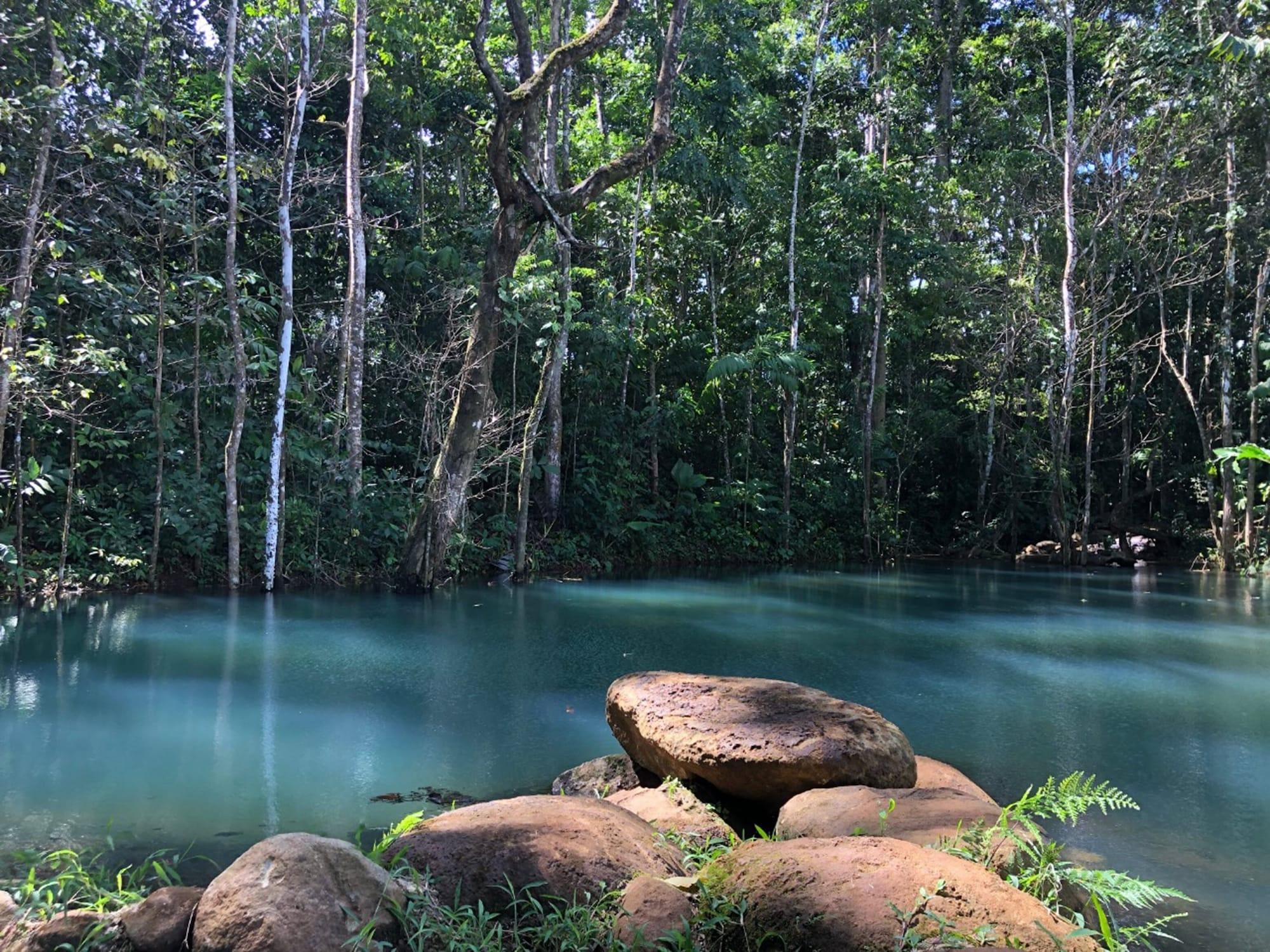 Varios Santuario de Ranas Valle Azul