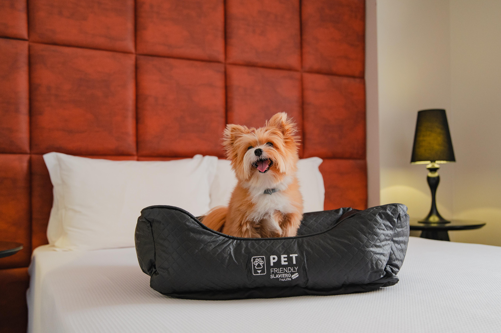 Comodidades del Alojamiento Slim Hotel Campinas